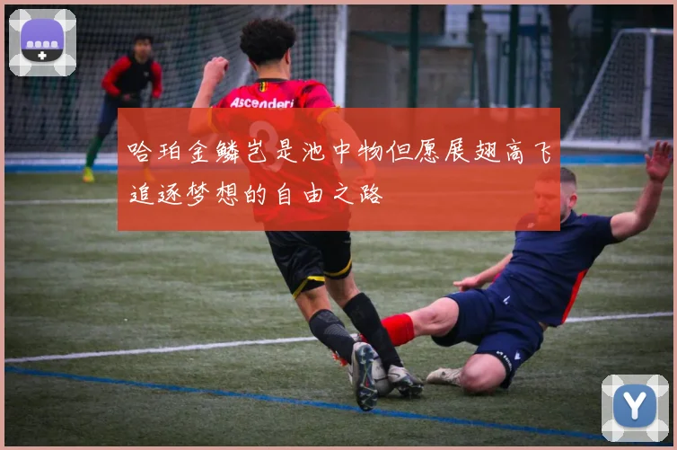哈珀金鳞岂是池中物但愿展翅高飞追逐梦想的自由之路
