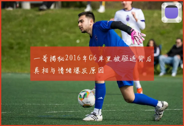 一哥揭秘2016年G6库里被驱逐背后真相与情绪爆发原因