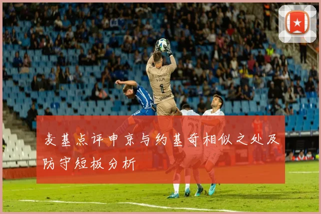 麦基点评申京与约基奇相似之处及防守短板分析